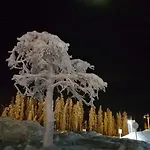 Northern Lights * Levi