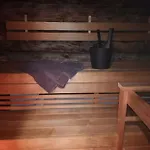 بيت للعطل Northern Lights ليفي