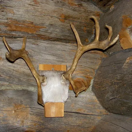 펜션 Northern Lights 레비