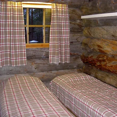 Northern Lights 레비