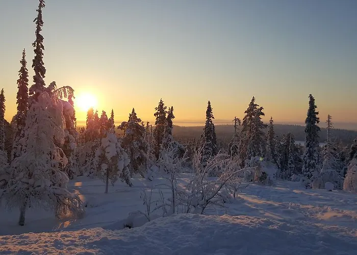 Σπίτι διακοπών Northern Lights Levi