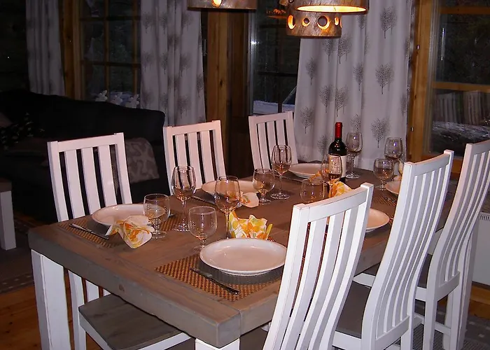 Northern Lights Levi