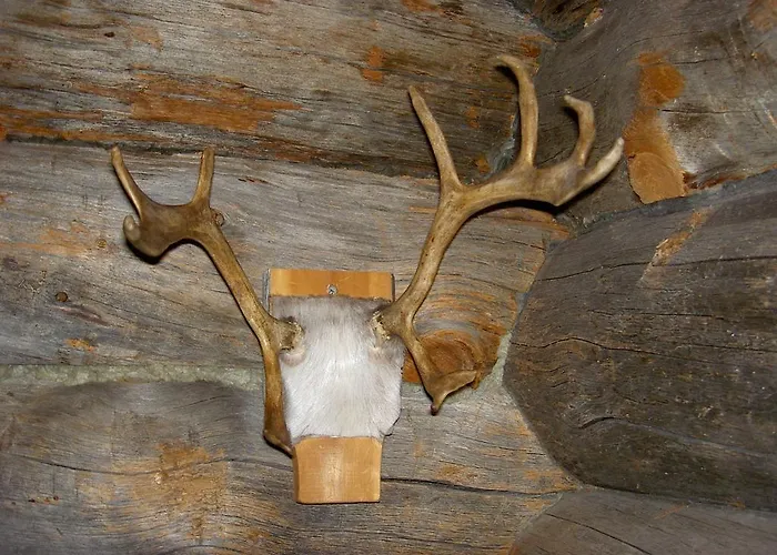 Σπίτι διακοπών Northern Lights Levi