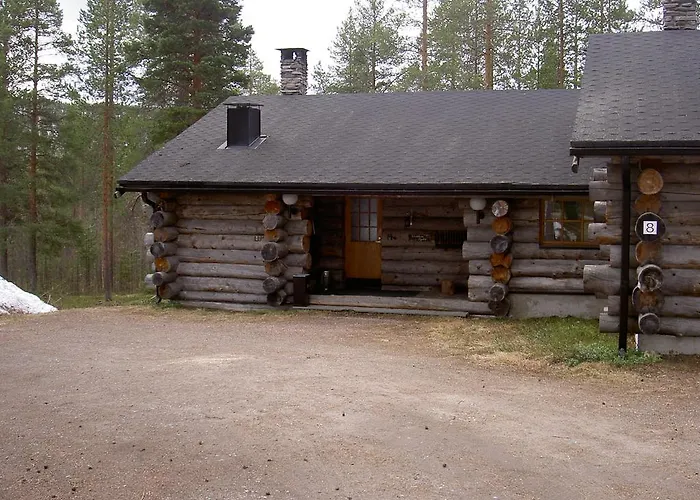 Northern Lights * Levi