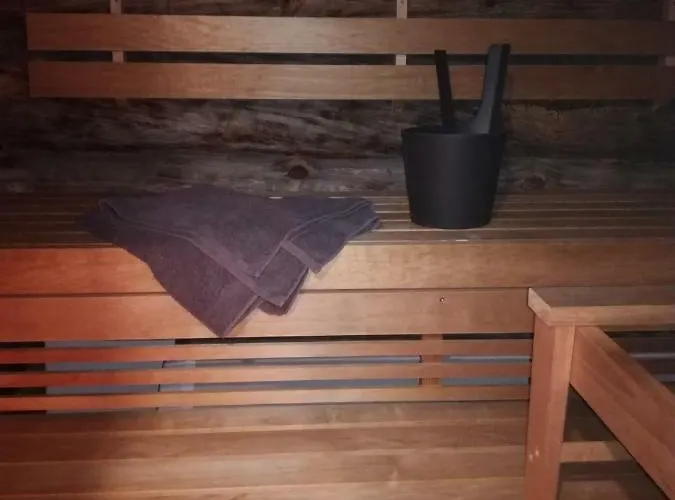 Σπίτι διακοπών Northern Lights Levi